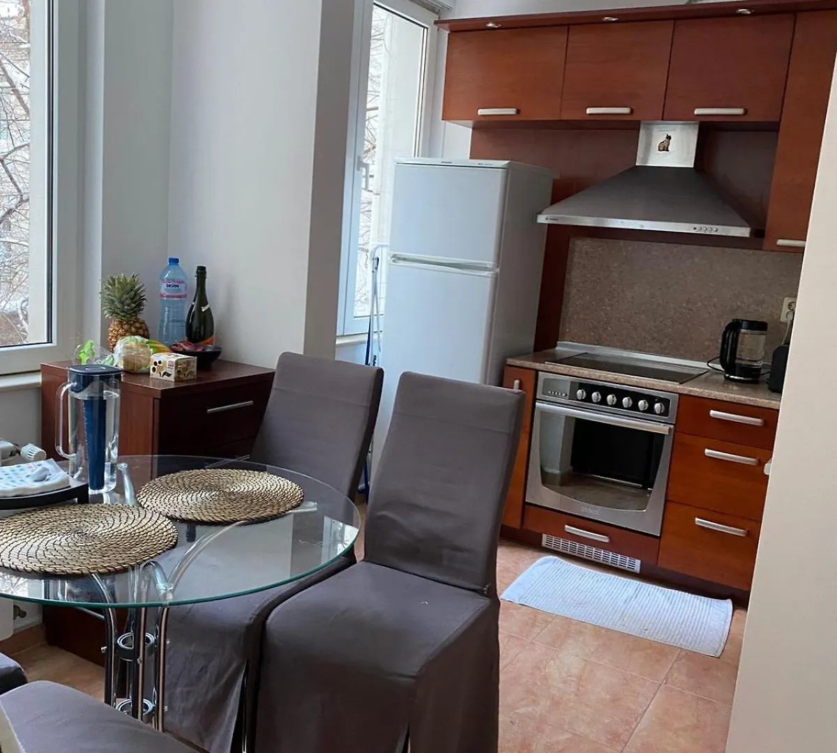Rockville House Nomad Apartment Σόφια